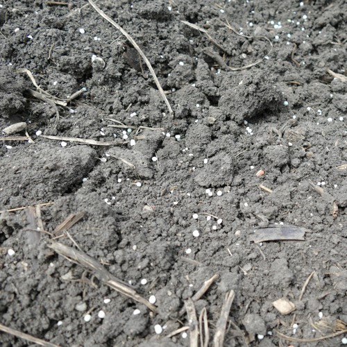 Stream What fertilizer cost considerations should growers in MN think