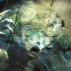 Swell (DOWNLOAD)