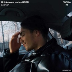 FORMA38: HØRN