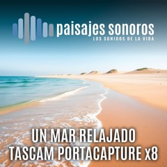 El Mar Relajado en Playa Carabassí de Santa Pola [Tascam X8, Audio-Technica AT4022]