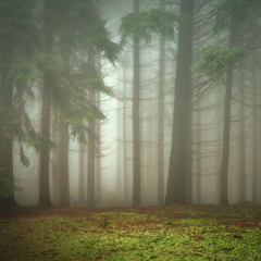 120 Waltz "Annie's Song"