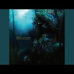ACHE In PULSE