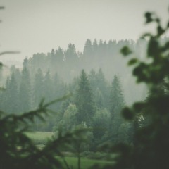 DEEP IN MELODY
