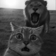 AL SON DE MI SONIDO 1.0 🎮🕹️🕺🏾🔥⚡