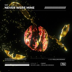 SNI - Never Were Mine