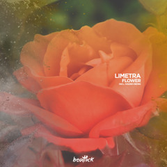Limetra - Flower (IVADRO Remix Edit)