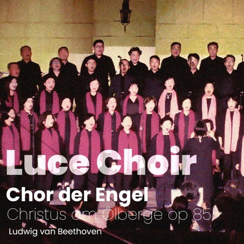 Chor Der Engel - Luce Choir - 20240928