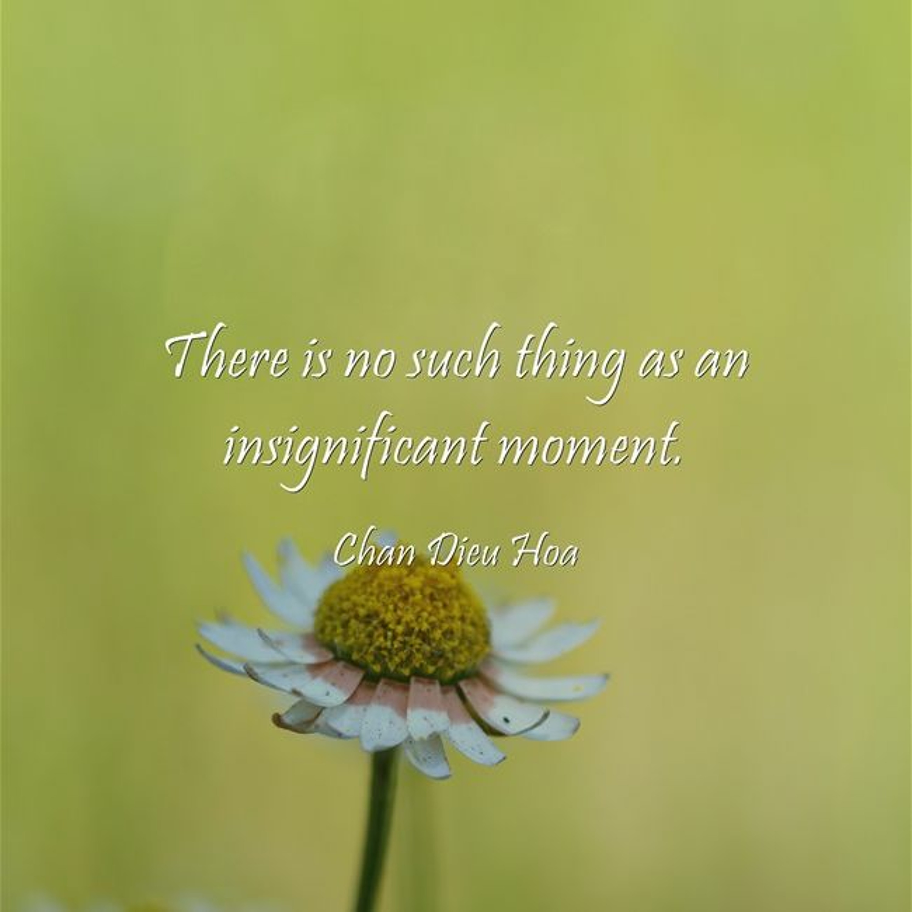 In Mindful Motion Podcast