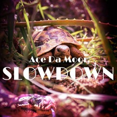 Slowdown (Prod. Flamingo Bill)