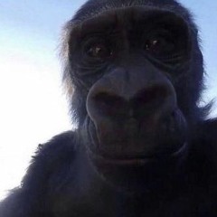 Walkk 2 Da Zellaz (Smell' Like A Poop.. Slummz)