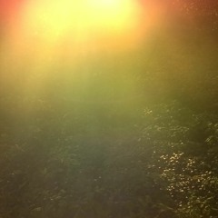 Ambient 52