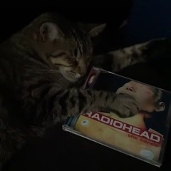 Creep by Radiohead covered by a cat
