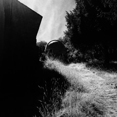 Chronïques 3 Métaphytions Méditasiques©2020