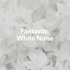 Ruggedly White Noise