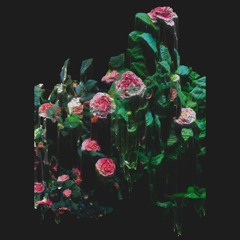 Manatee Commune - Cast