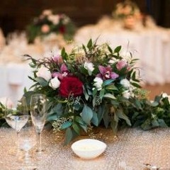 Commonly Found Flower Varieties In Canada A Popular Selection