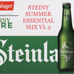 STEINYS SUMMER ESSENTIAL MIX VL 2