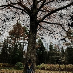 silhouettes weeping (prod. wykn studio)