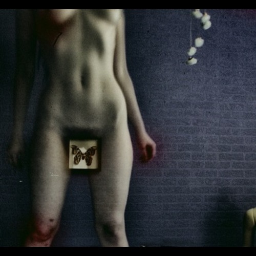 Jaded Whole Inside - WhyHeBled