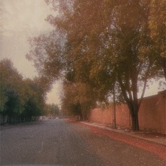 "وجهك.. بيذكر بالخريف."