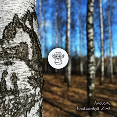 Kholodnaya Zima (Extended Mix)