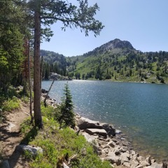 Fable - Temple of Light