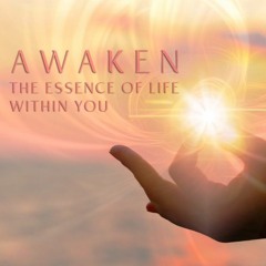 Awaken The Essence of Life Within You (Meditation)