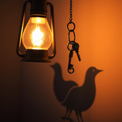 Billie Eilish - Birds Of A Feather (Cover)