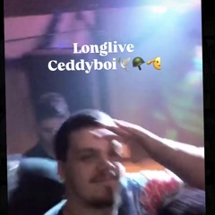 I can't understand ft ceddyboi,shubst3r