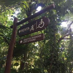Best What To Bring Xcaret Tours Review