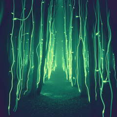Through the Veil
