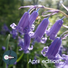 TMC Records - April 2025 playlist