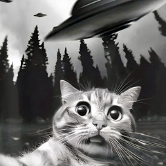 made shit (p. djcodeinewar) old demo