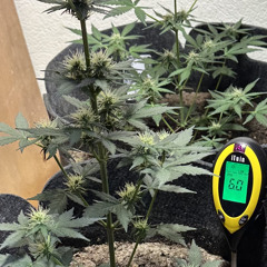 Stimmen, an Beats und Atmosphären mixed by Bitter Apr. 25