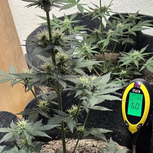 Stimmen, an Beats und Atmosphären mixed by Bitter Apr. 25