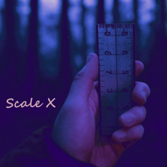Scale X