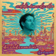 Dj Gobayashi aka SHAMANTRA_Ecstatic Dance St.Pölten_19.01.2025_Alles Schall und Rausch