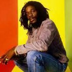 Dennis Brown meets the Taxi Gang- Revolution