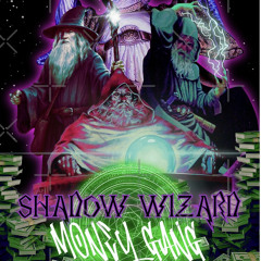Shadow Wizard Alliance