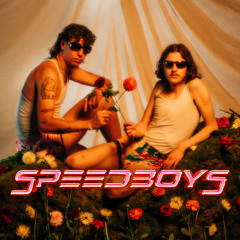 Feld voller Rosen (feat. valou)