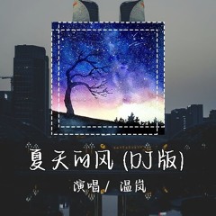 温岚 -  夏天的风 (DJ版) 「夏天的风我永远记得 清清楚楚地说你爱我」 【動態歌詞/pīn yīn gē cí】