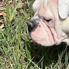 Catacombs w/ Fog Lake (Prod. Panotune)