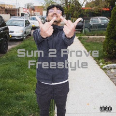Sum 2 Prove Freestyle (prod. ZEL x HeatMaky)