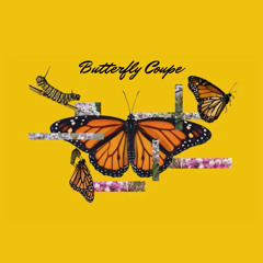 Vyse - Butterfly Coupe