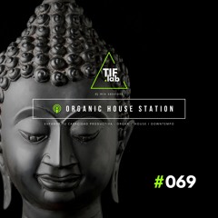 Zen Organic House #069 - Melodies for the Mind | 🛋️ Deep Focus dj mix session 慢摇