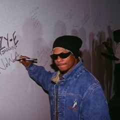 SETAMETAFETA - INTROMANE