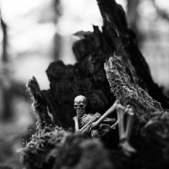 Five Minutes at a Time