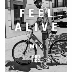 Feel Alive MIX - NANI