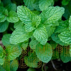 @CashmereRadio - Minty Fresh w/ peppermintphil #9
