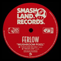 PREMIERE: Ferlow - This Is How We Chill